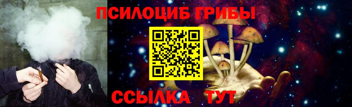 Галлюциногенные грибы Psilocybe Назрань